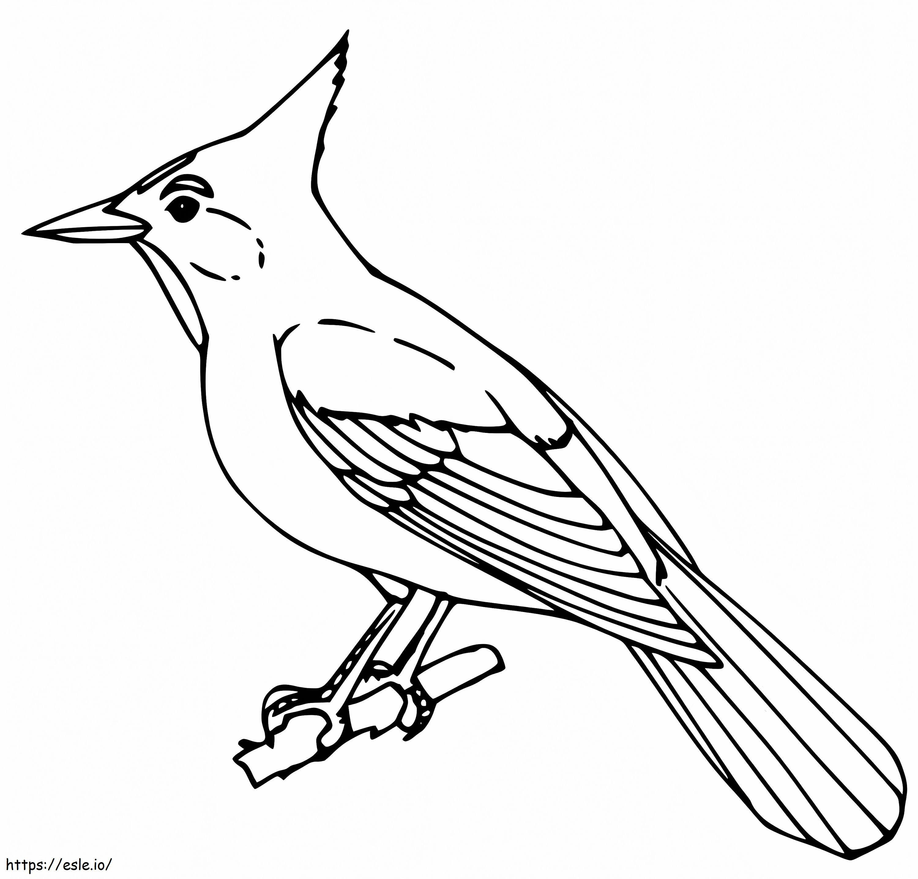 Blue Jay 1 coloring page