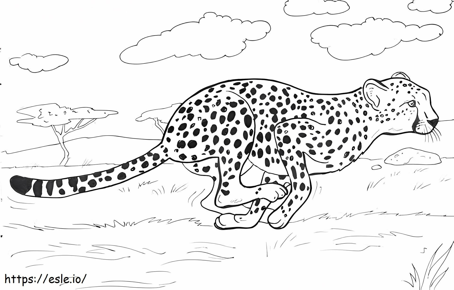  Cheetah Running Fast A4 E1600317151188 para colorir