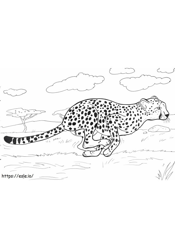  Cheetah Running Fast A4 E1600317151188 para colorir