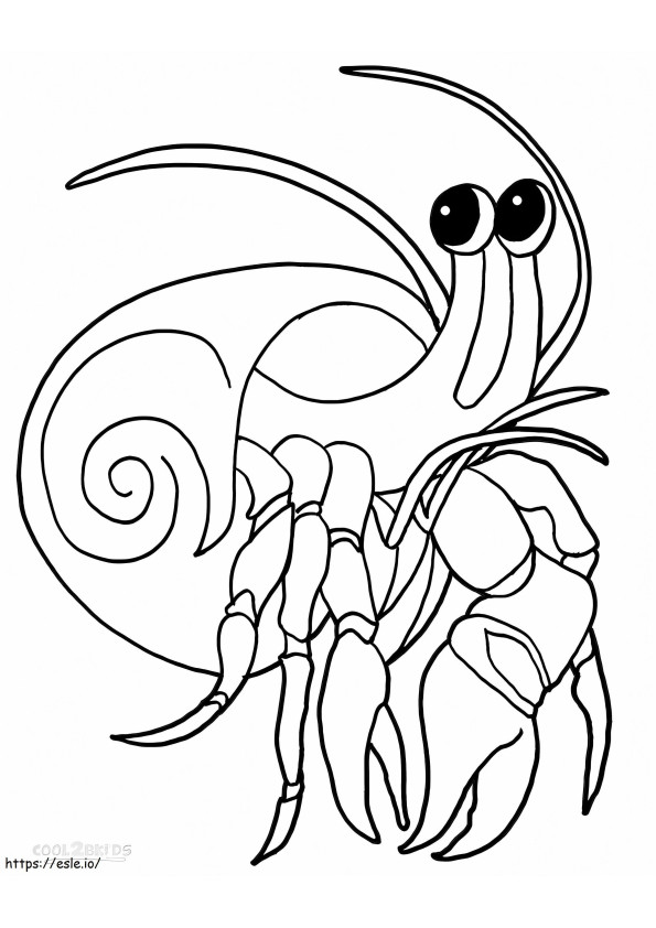 Download Crab Coloring Pictures Printable Hermit Pages For Kids Cool2Bkids coloring page