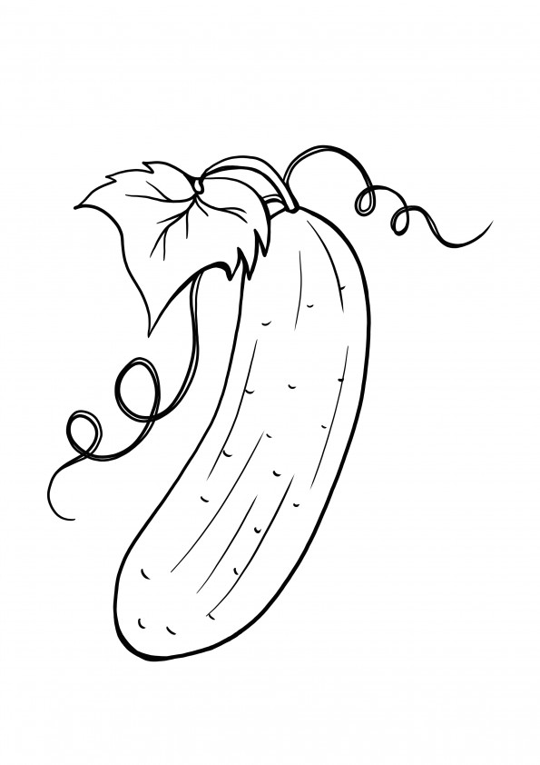 full page cucumber to print and color for free