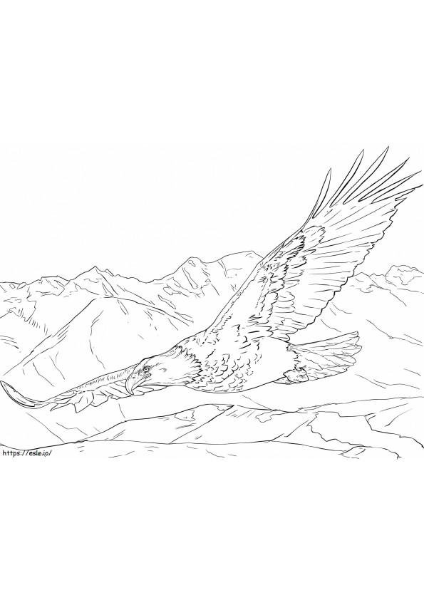 Vulturul pleșuv care se ridică de colorat