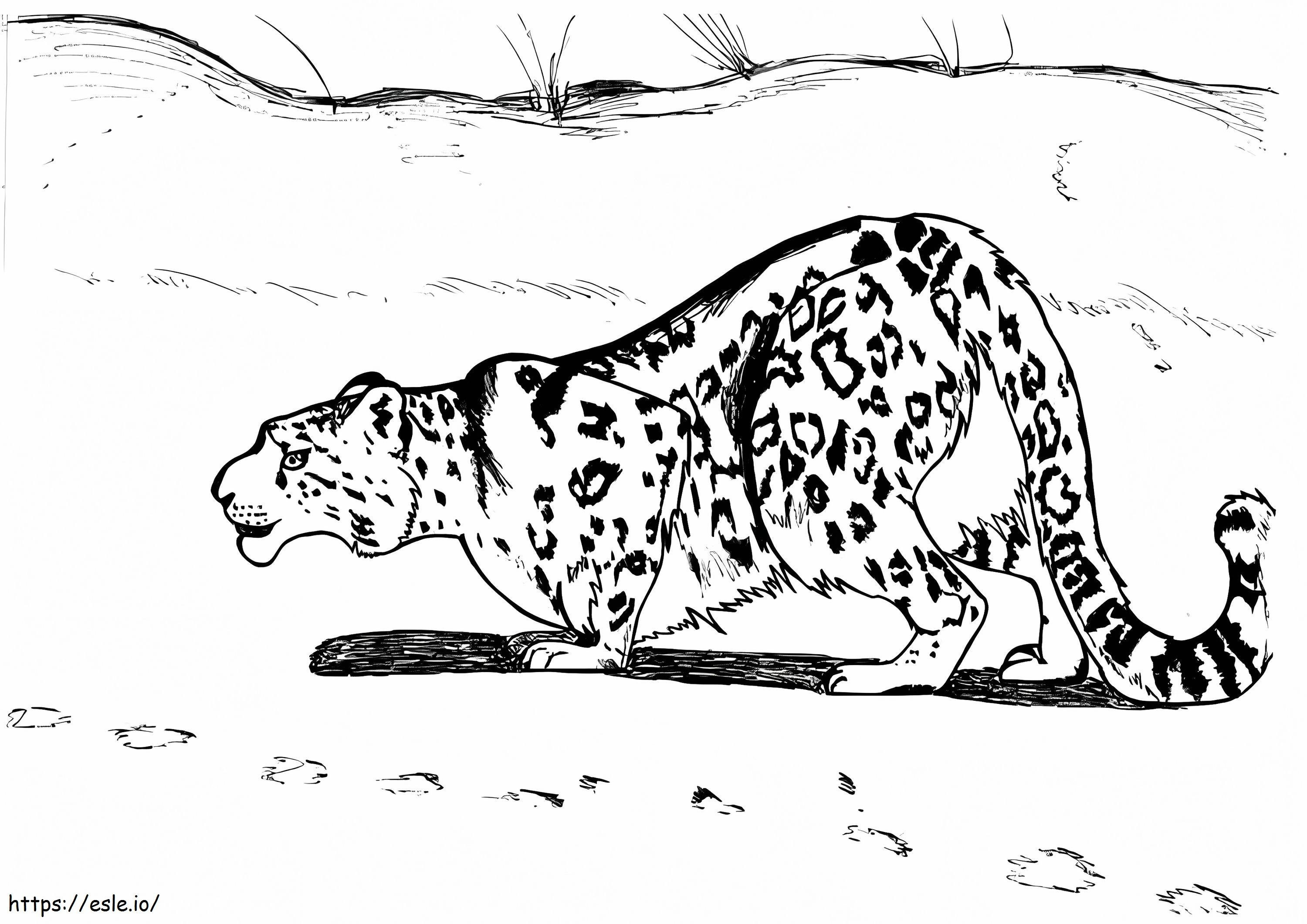 Leopardo delle nevi 2 da colorare