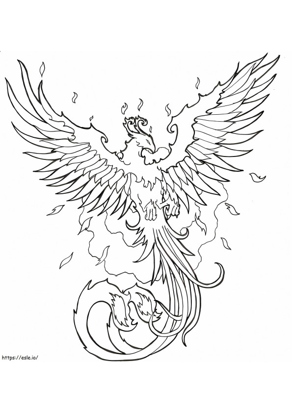 Impressive Phoenix