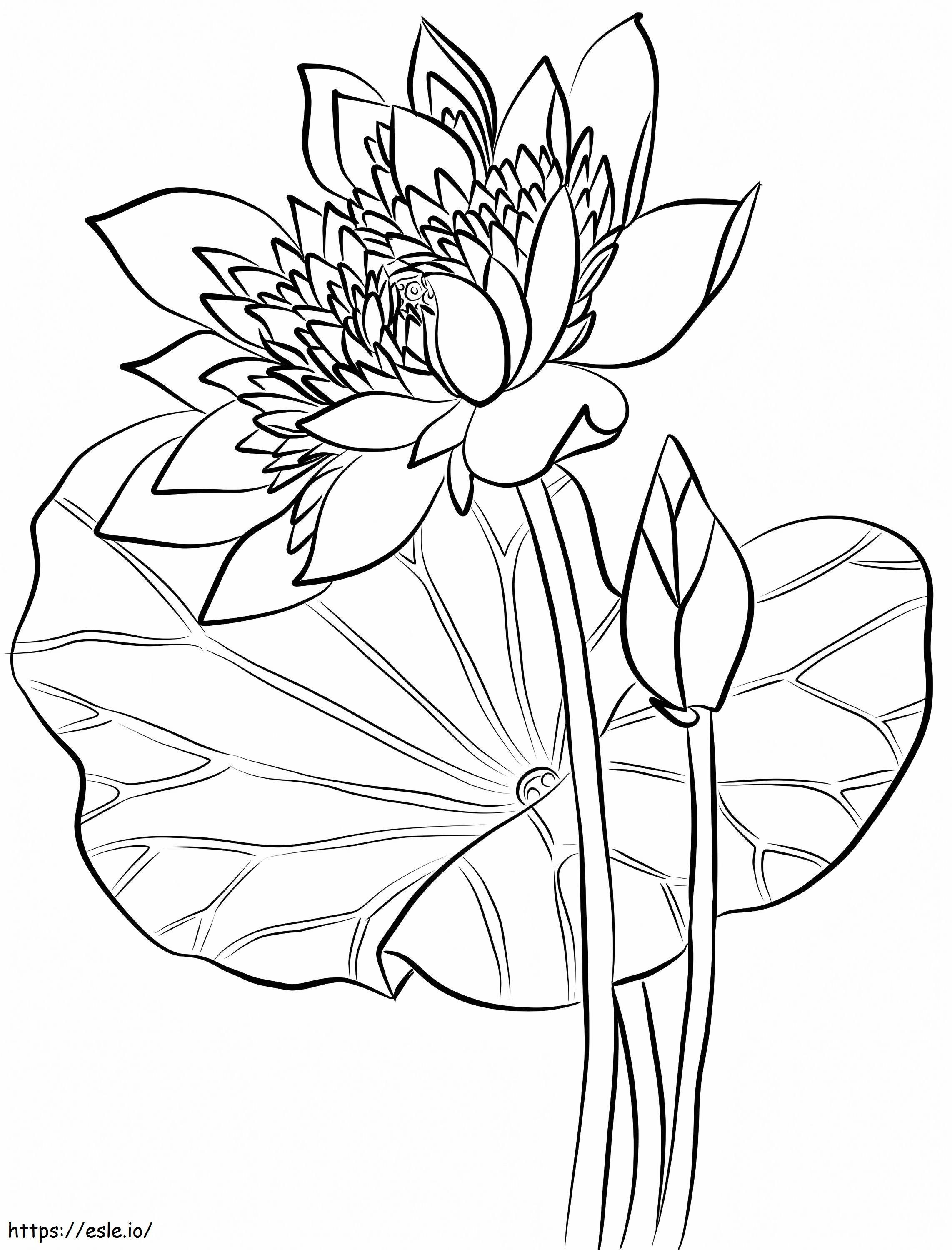 Printable Sacred Lotus coloring page