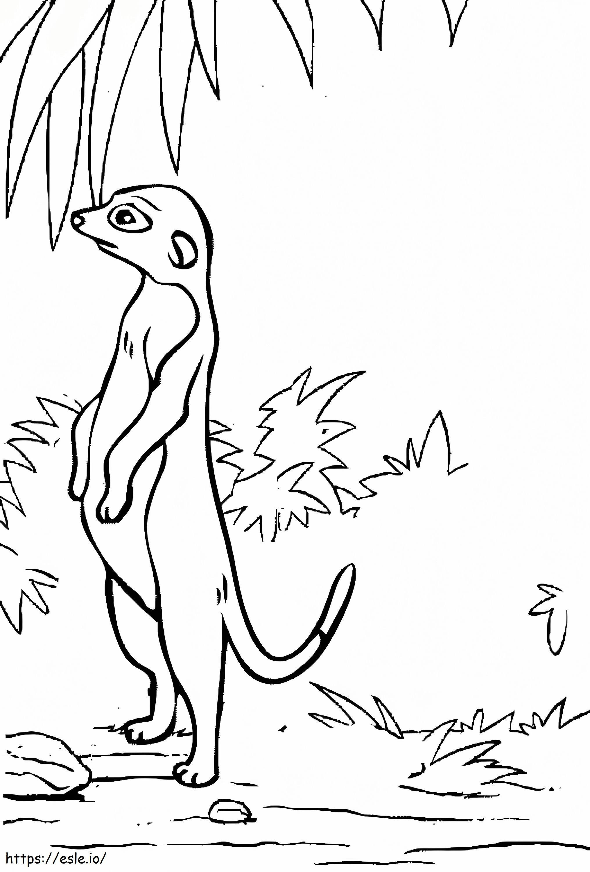 Meerkat Perfeito para colorir