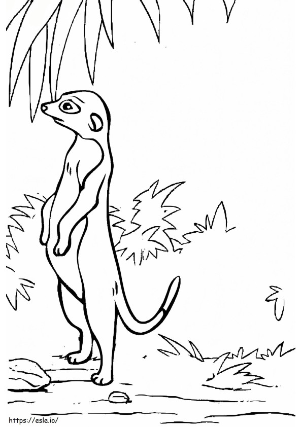 Meerkat Perfect coloring page