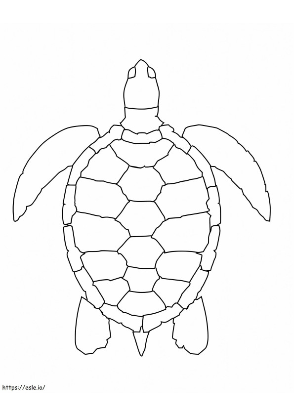 Einfache Meeresschildkröte ausmalbilder