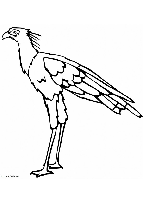 Coloriage dessin animé, secrétaire, oiseau à imprimer dessin