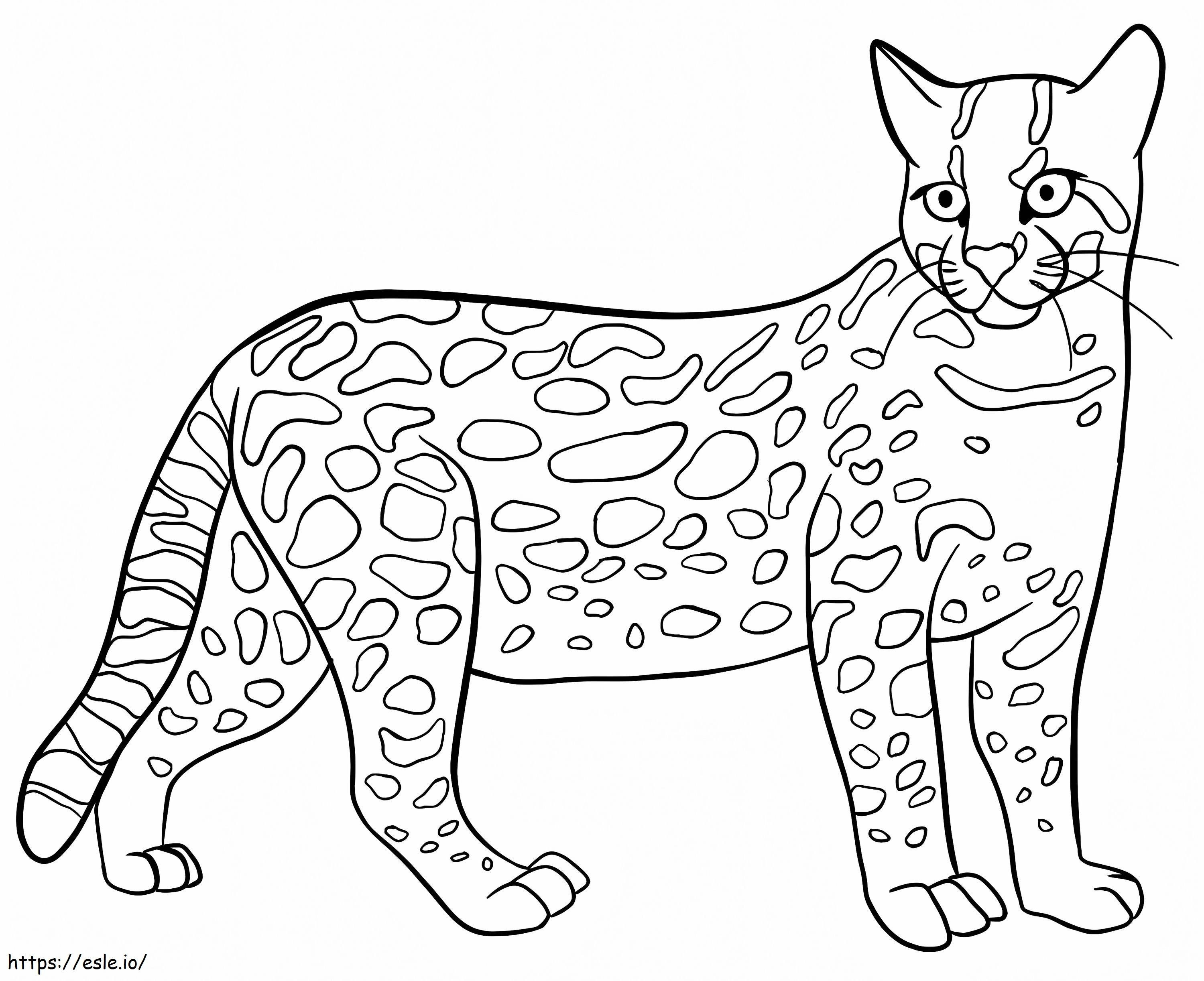 jaguatirica gato selvagem para colorir