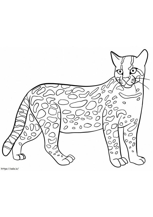 Coloriage Chat sauvage ocelot à imprimer dessin