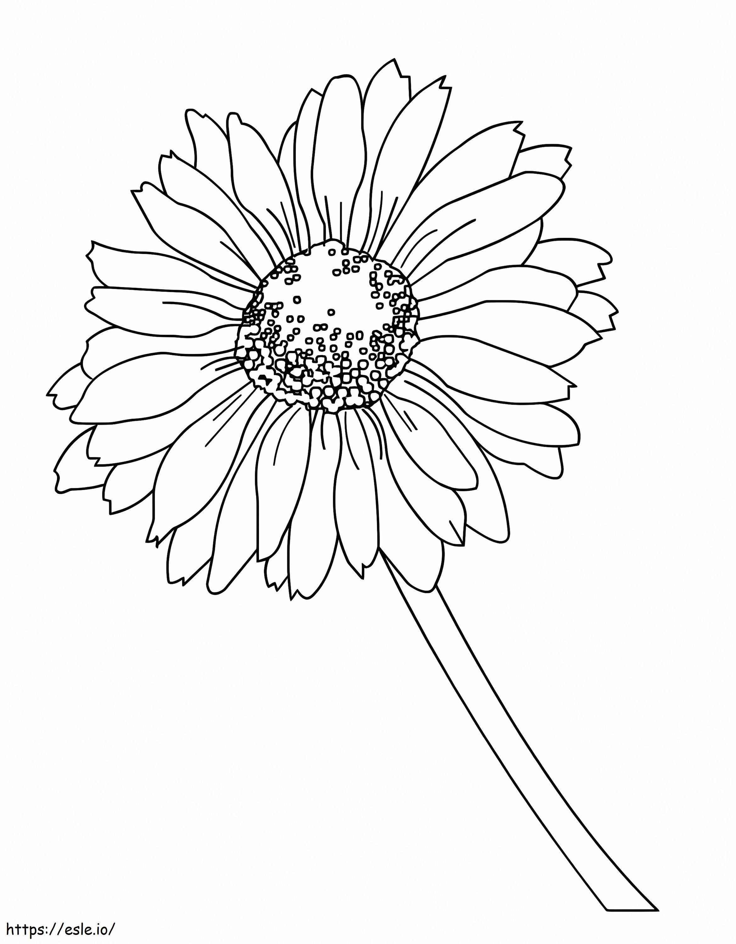 A Margarite coloring page