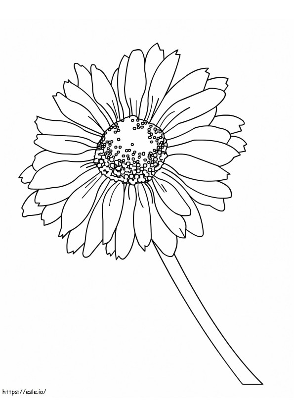 A Margarite coloring page