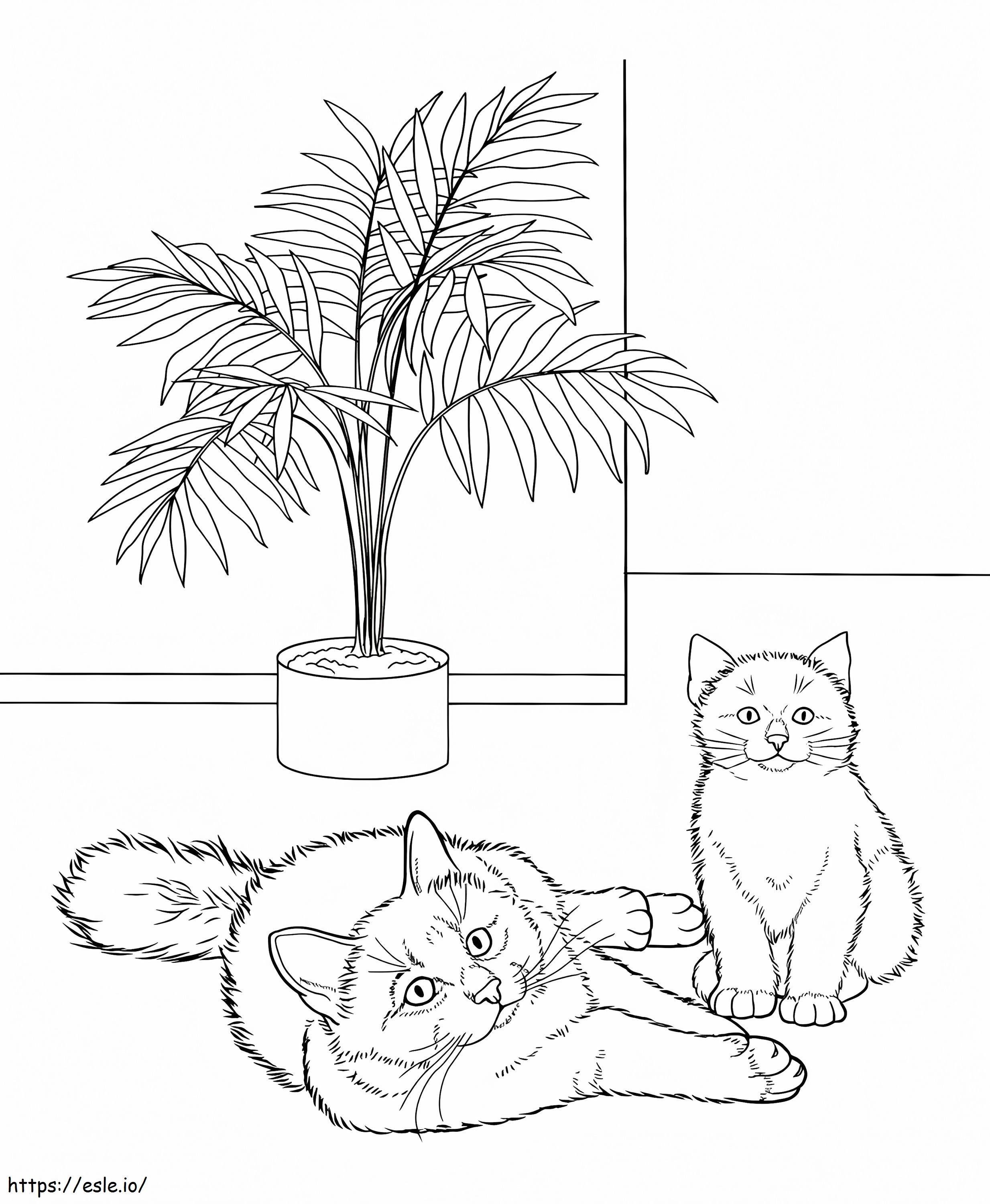 9 cute ocean animals coloring page for kids