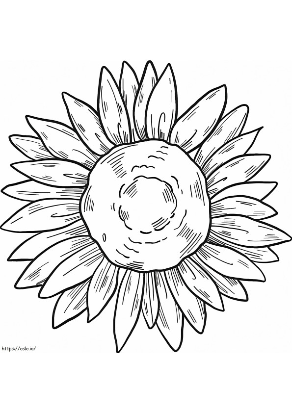Girasole stampabile