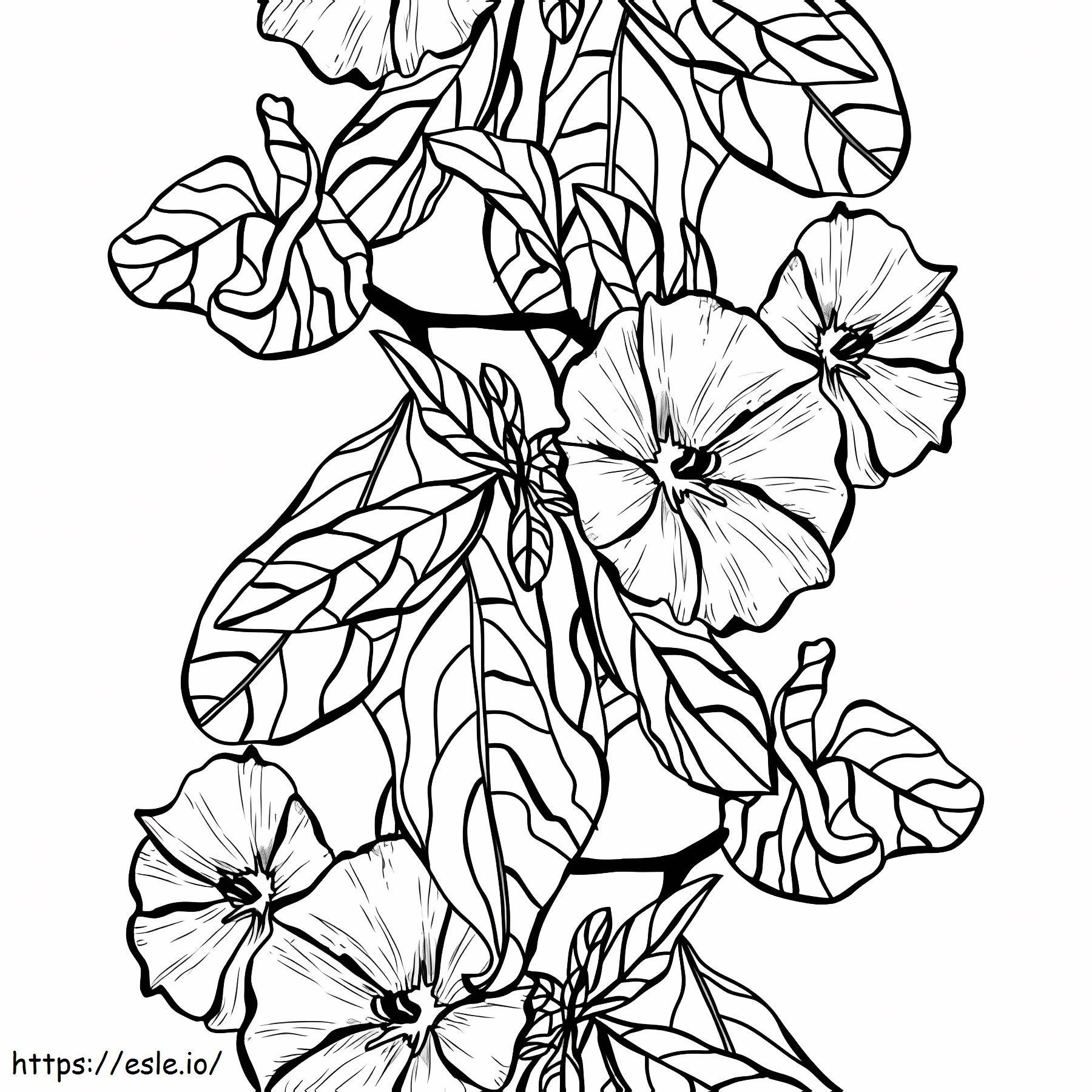 Amazing Clematis coloring page