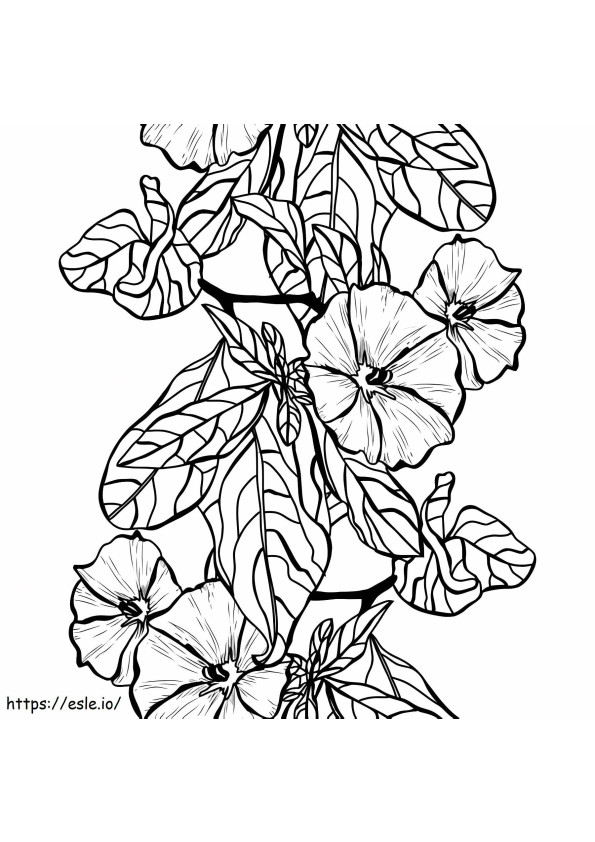 Amazing Clematis coloring page
