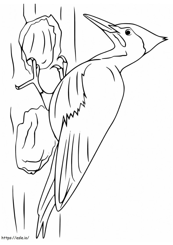Woodpecker 6 coloring page
