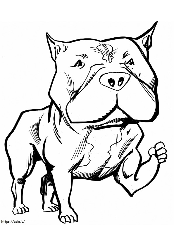 Strong Pitbull coloring page