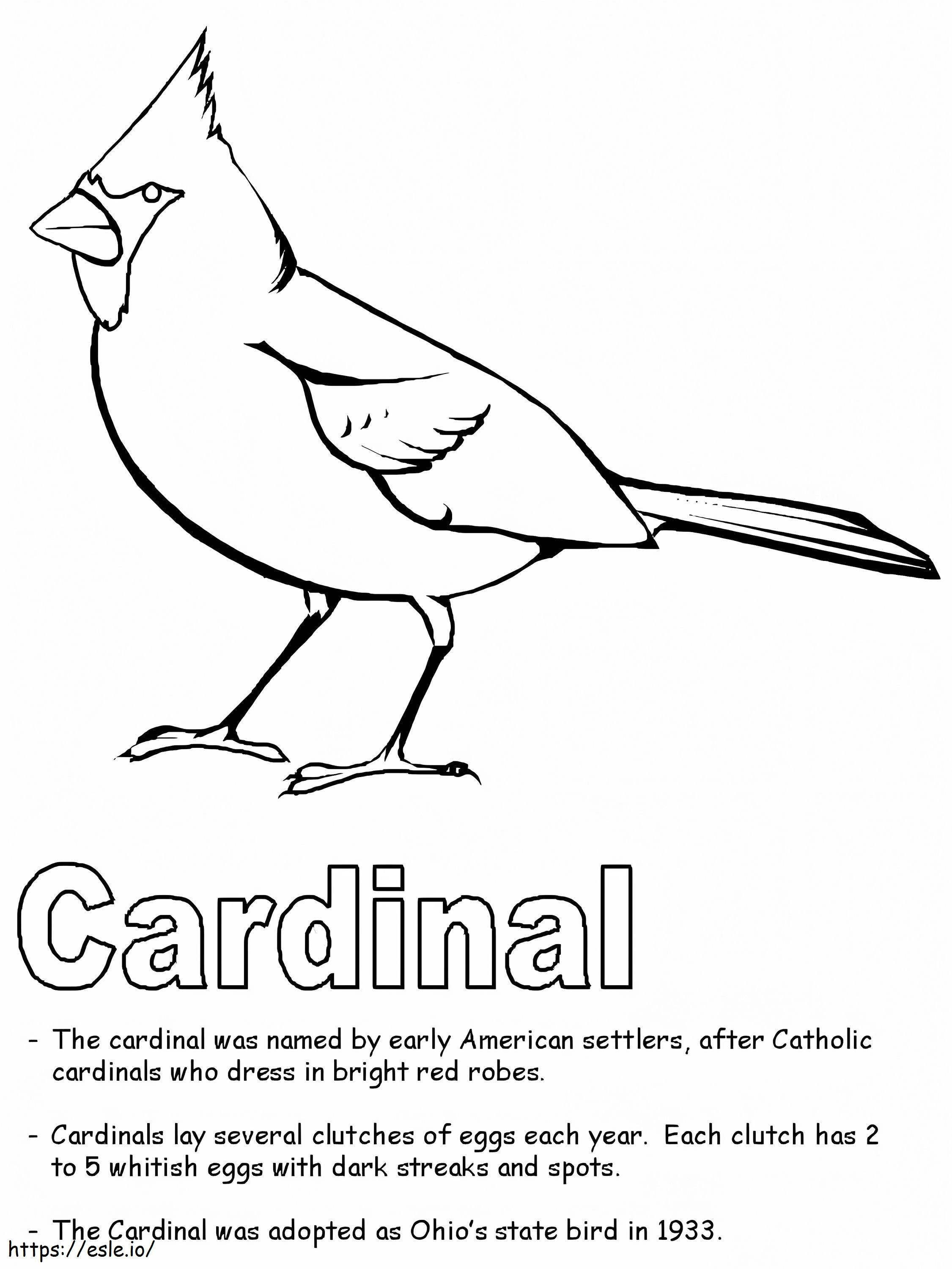 Kardinaal naar kleur kleurplaat kleurplaat