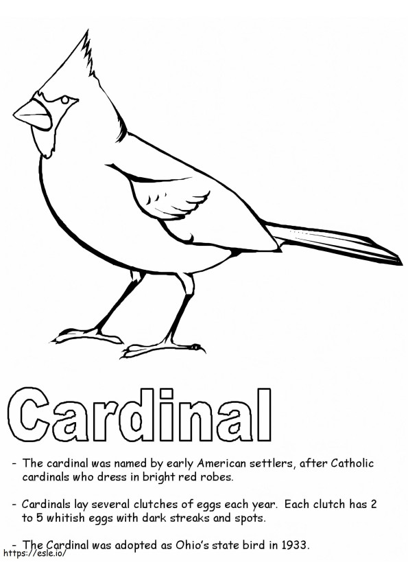 cardenal para colorear para colorear