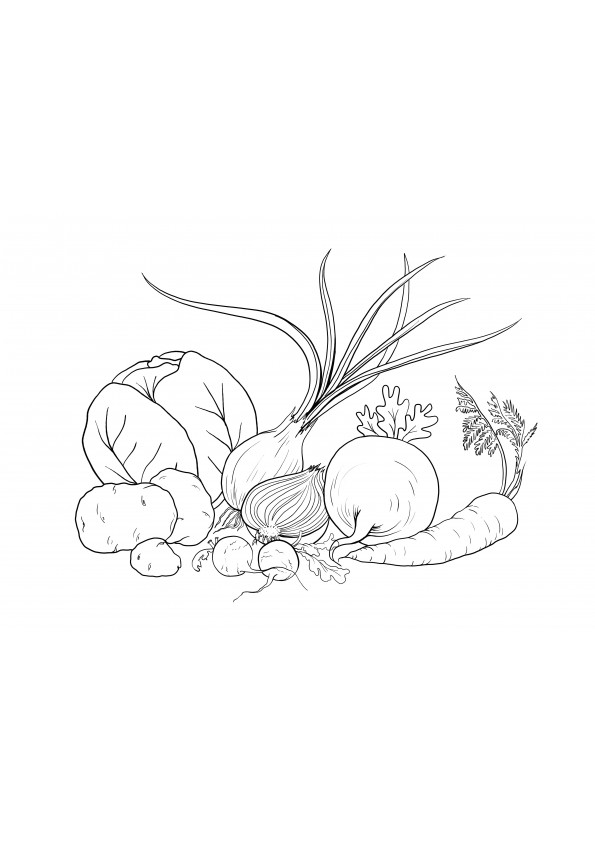 vegetables for soup free printing and coloring