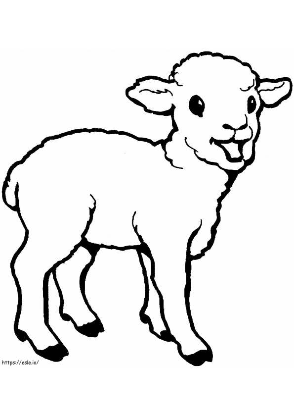 Basistekening Schapen