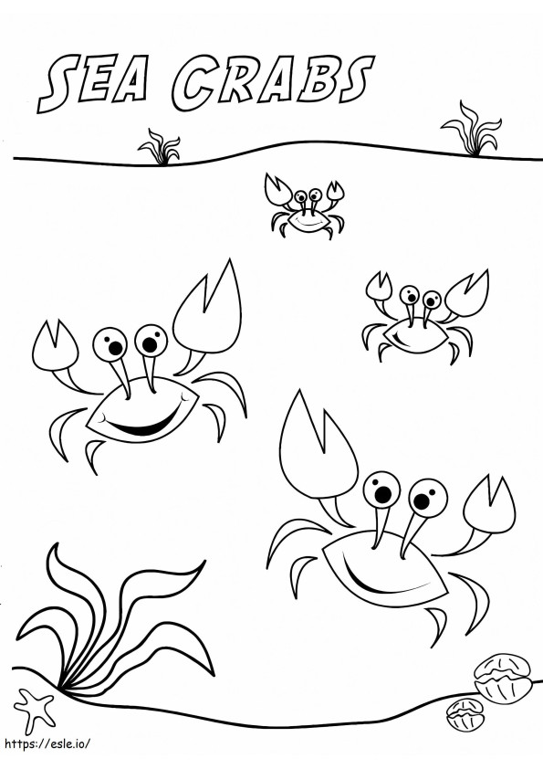 Coloriage Crabes de mer à imprimer dessin
