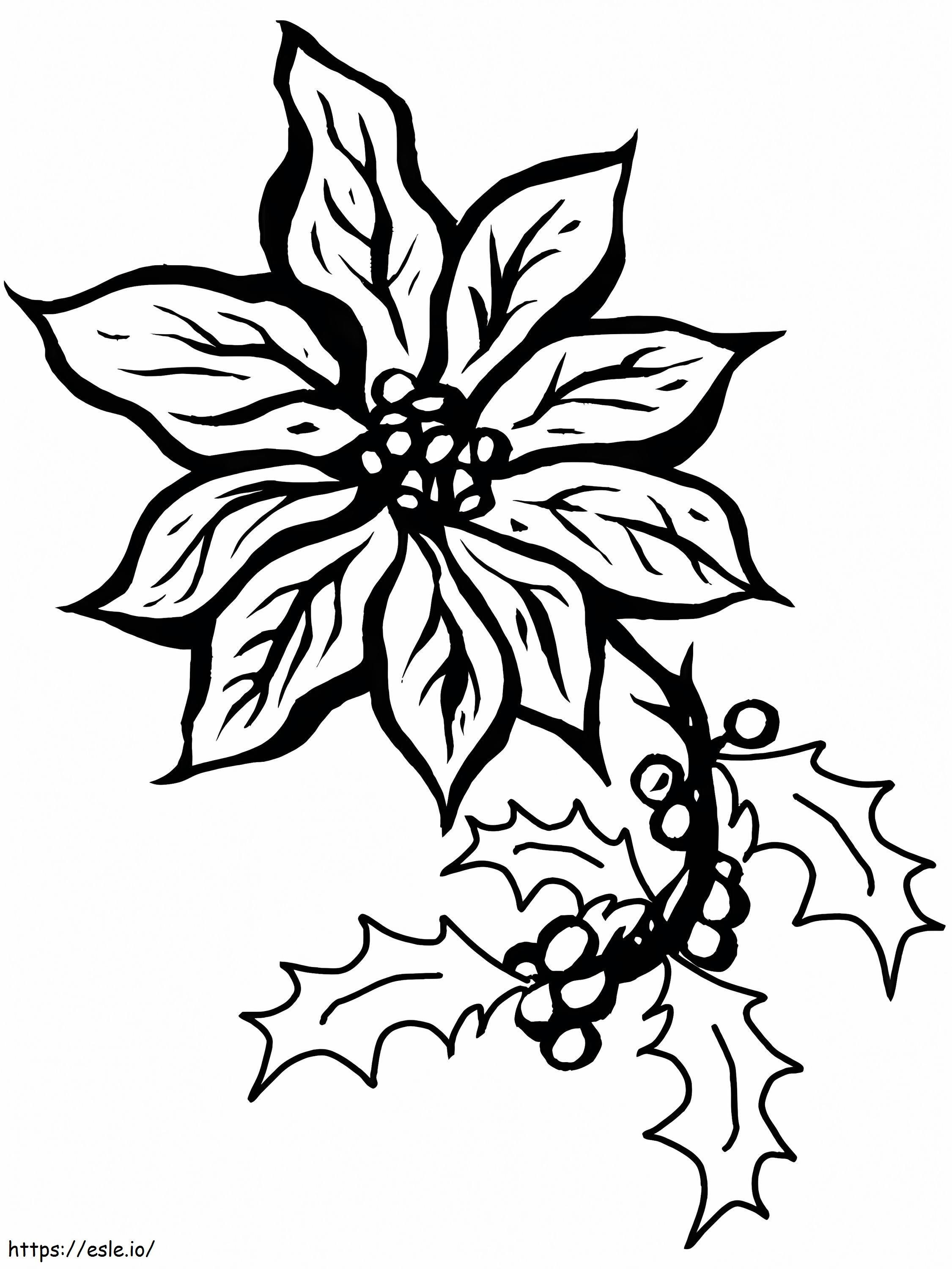 Coloriage Poinsettia unique à imprimer dessin