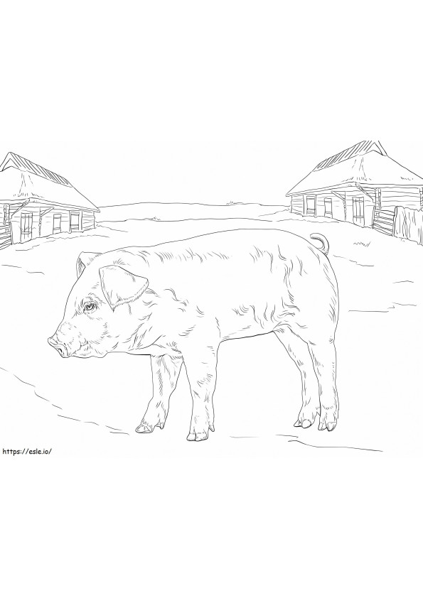 Farm Piglet coloring page