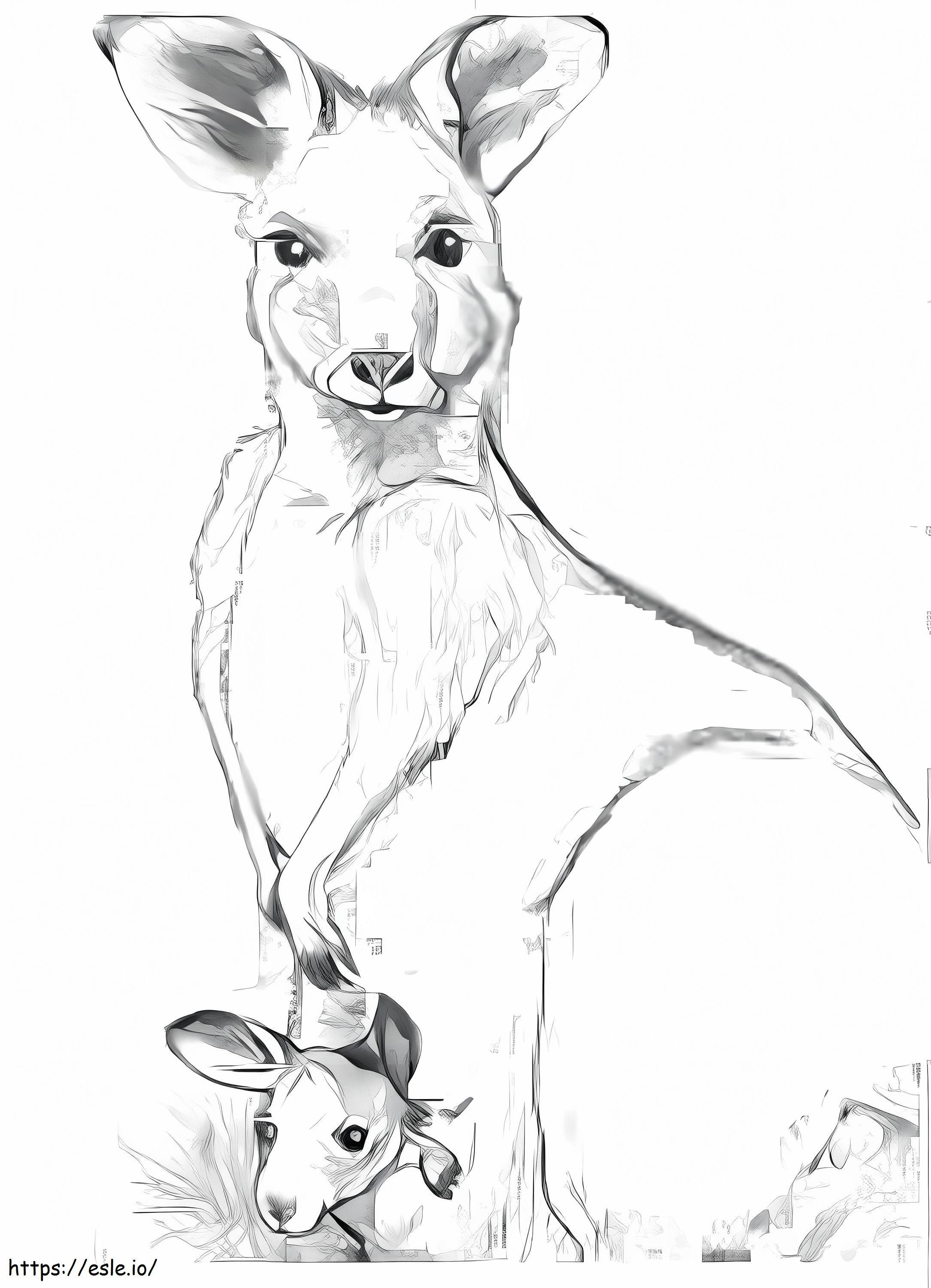 Coloriage Dessin de mère et bébé kangourou à imprimer dessin