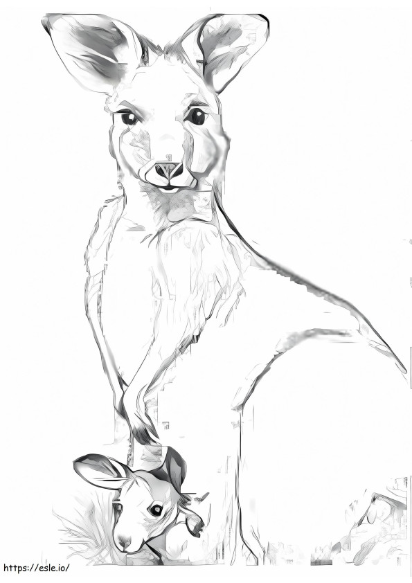Zeichnung, Von, Mutter, Und, Baby, Känguru ausmalbilder