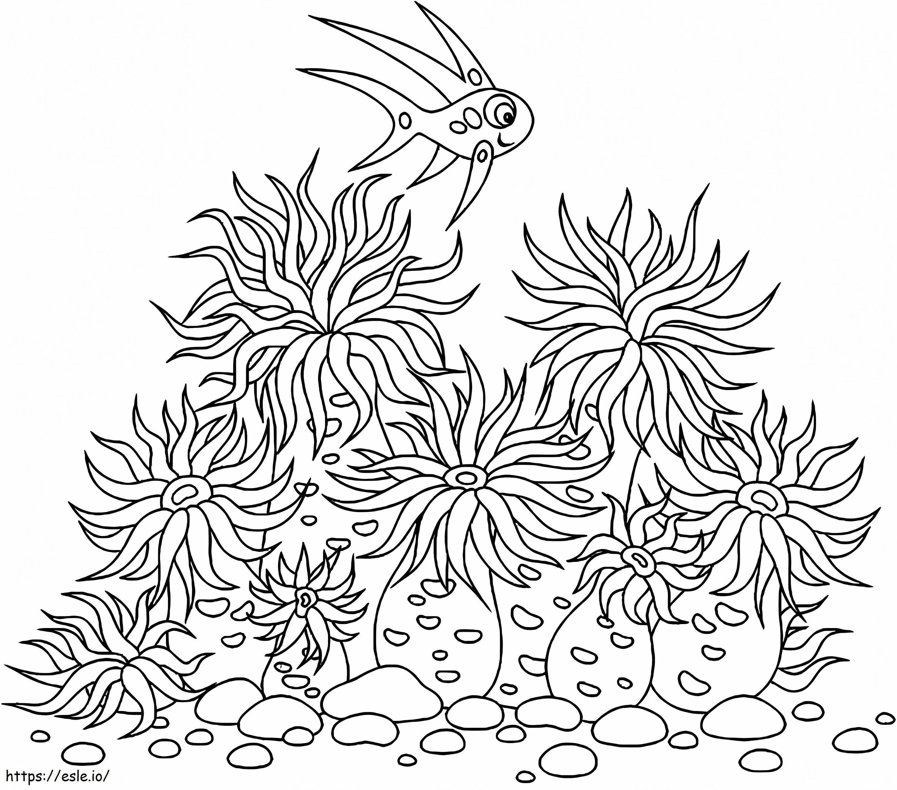 Sea Anemones coloring page