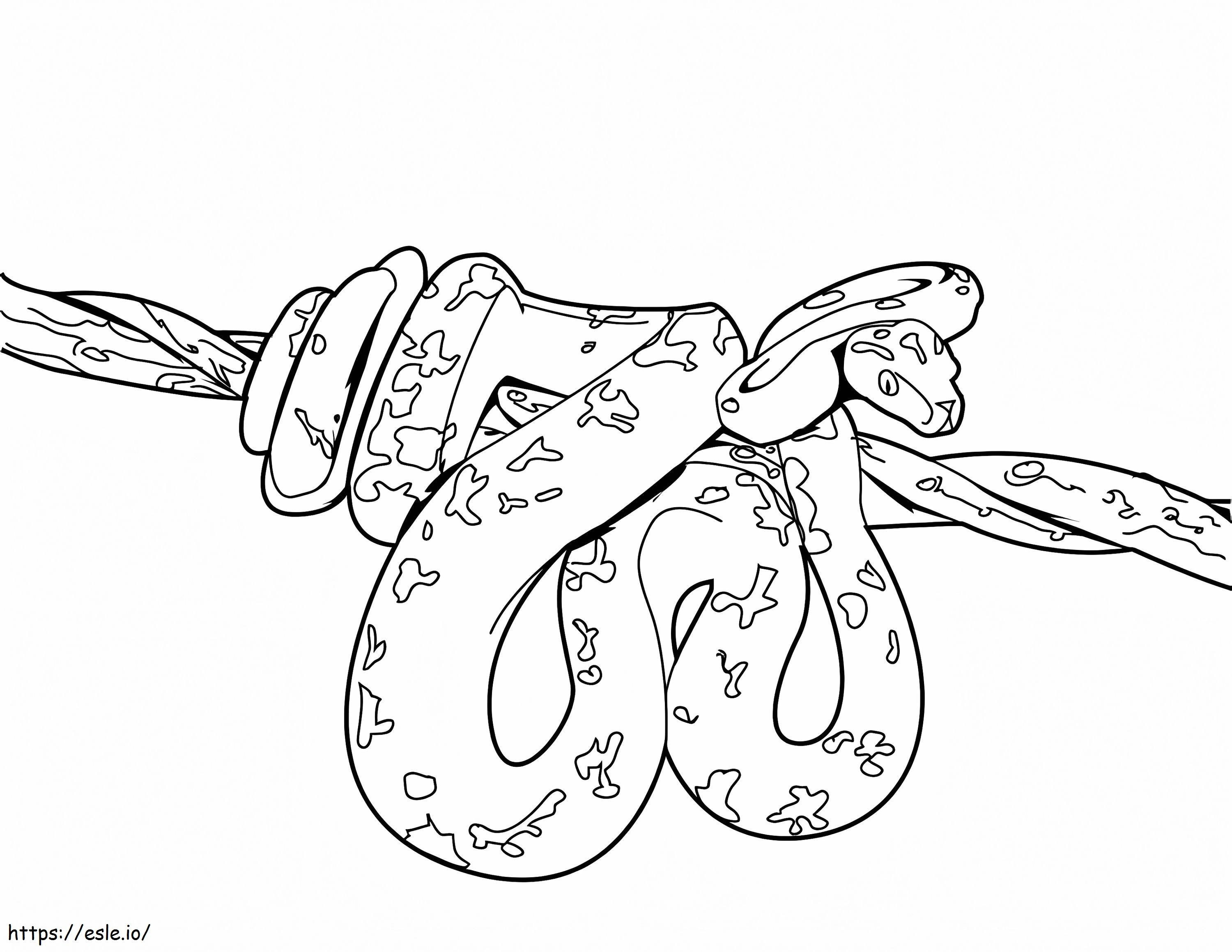 Basic Python Curled Up On A Tree Branch coloring page