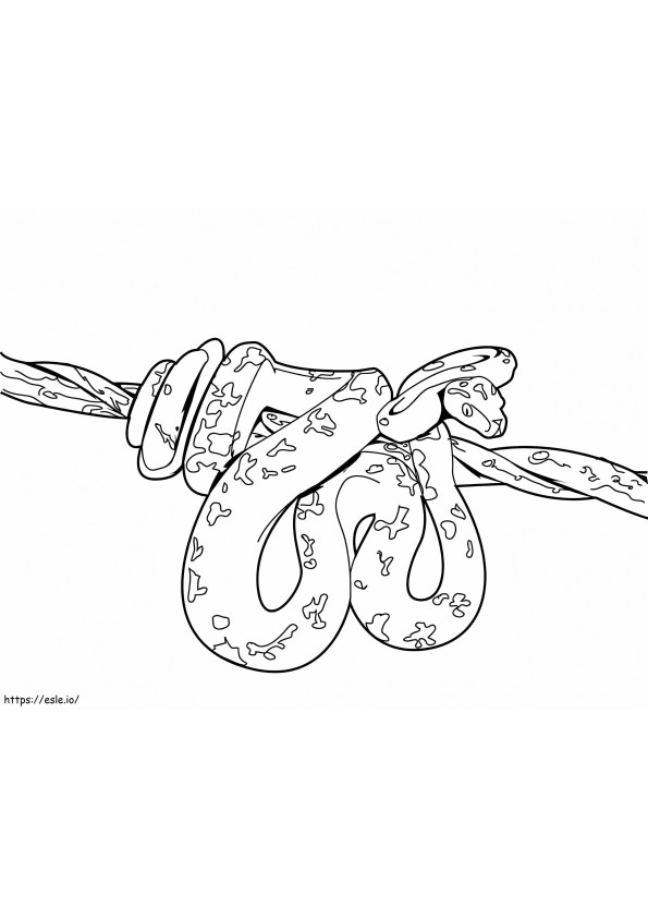 Basic Python Curled Up On A Tree Branch coloring page