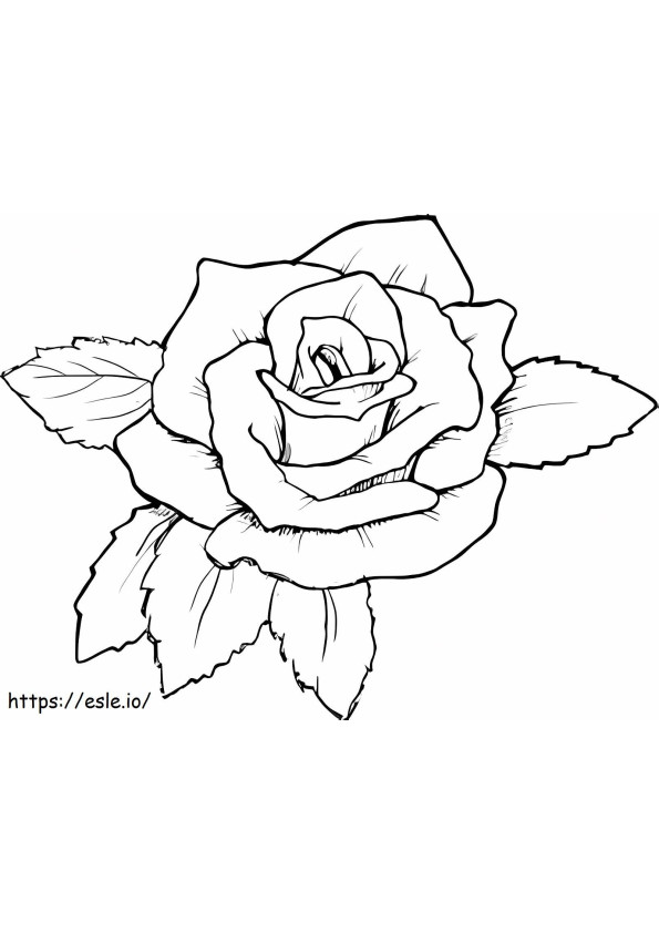 Rose_A4 coloring page