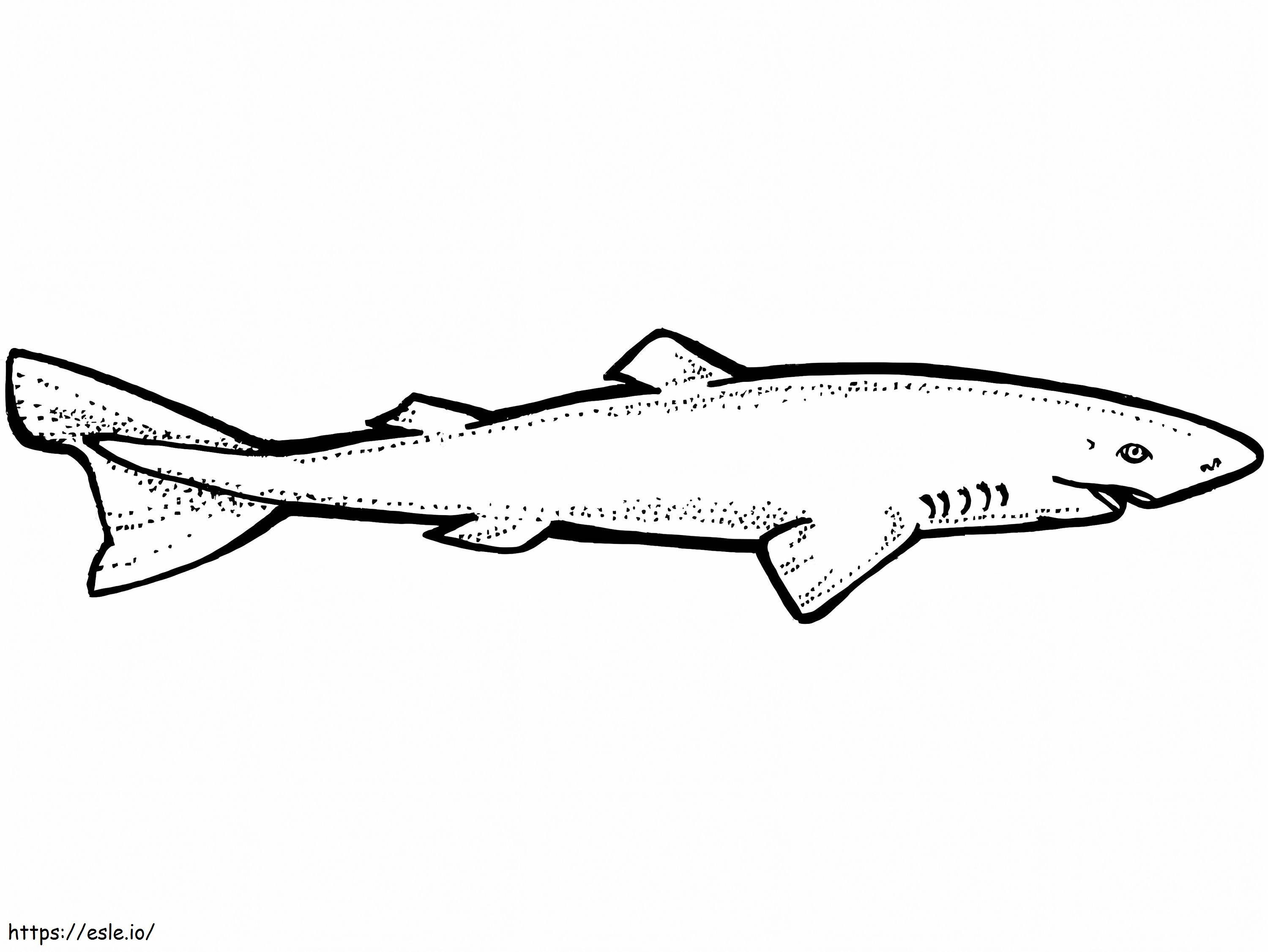 Tiburón de Groenlandia para colorear