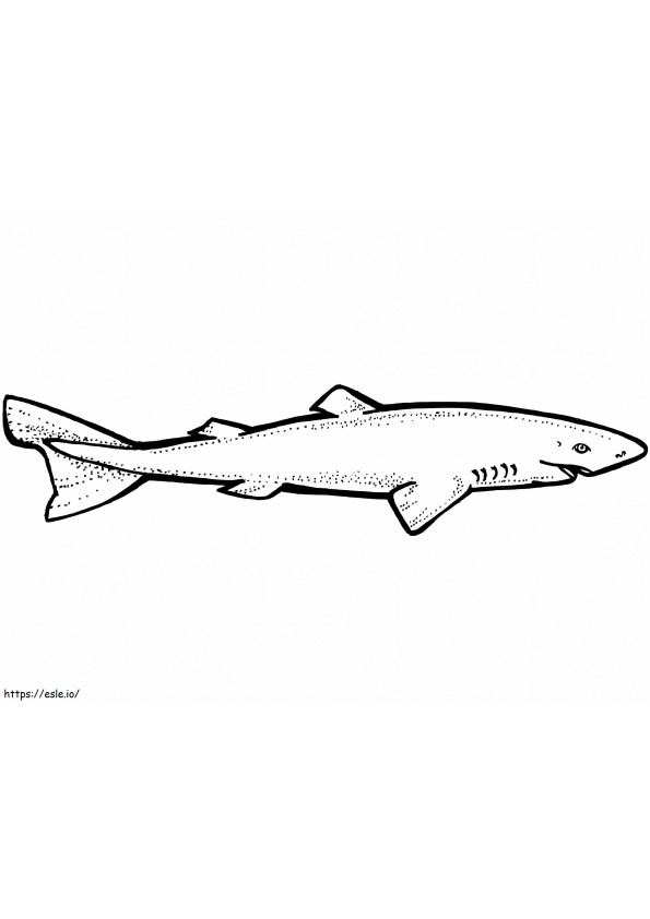 Groenlandse haai kleurplaat kleurplaat