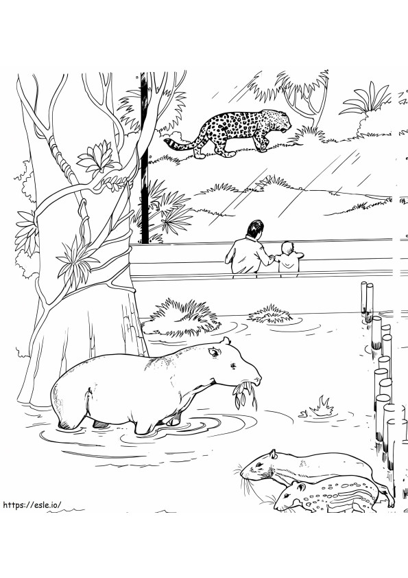Coloriage Tapirs Pacas Et Jaguars à imprimer dessin