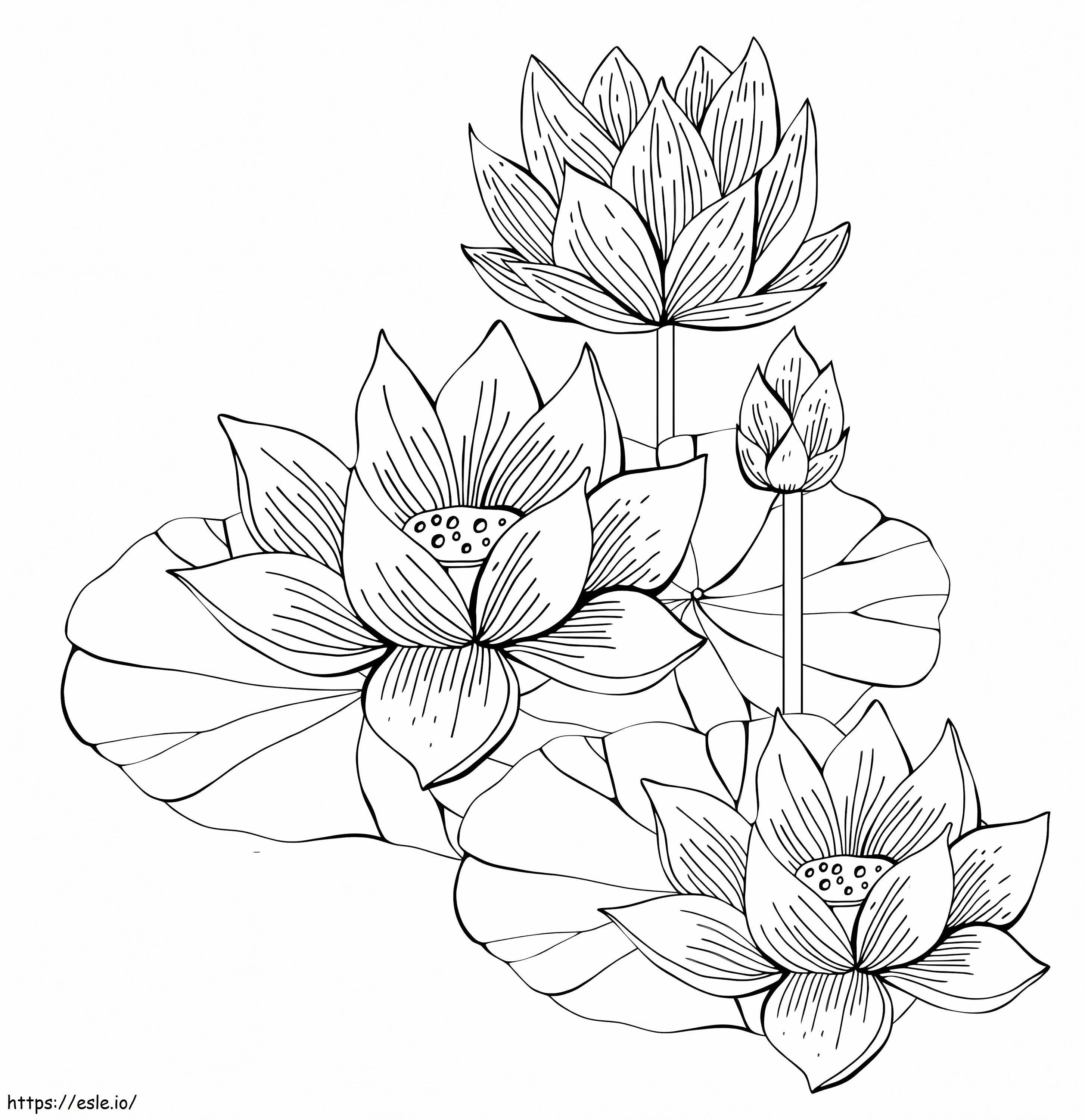 Printable Lotus Flowers coloring page