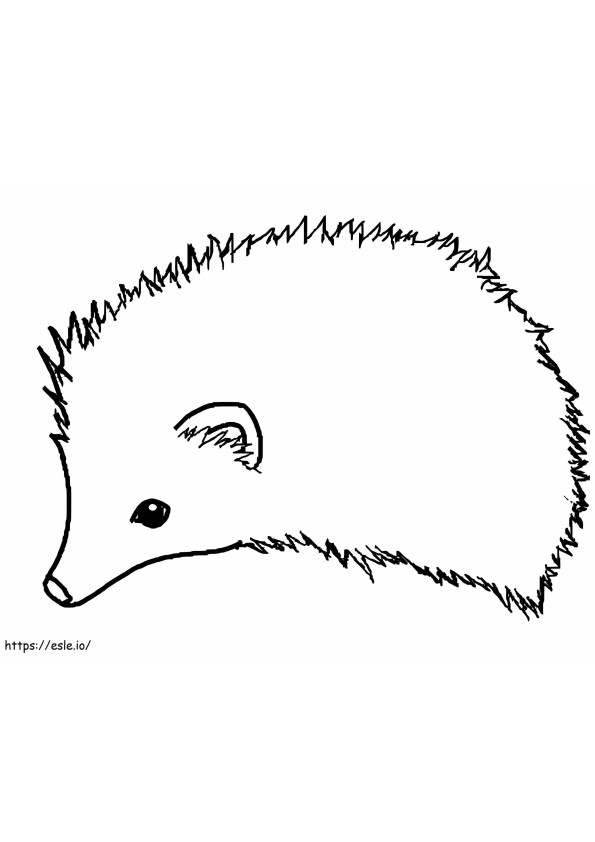 Hedgehog Drawing