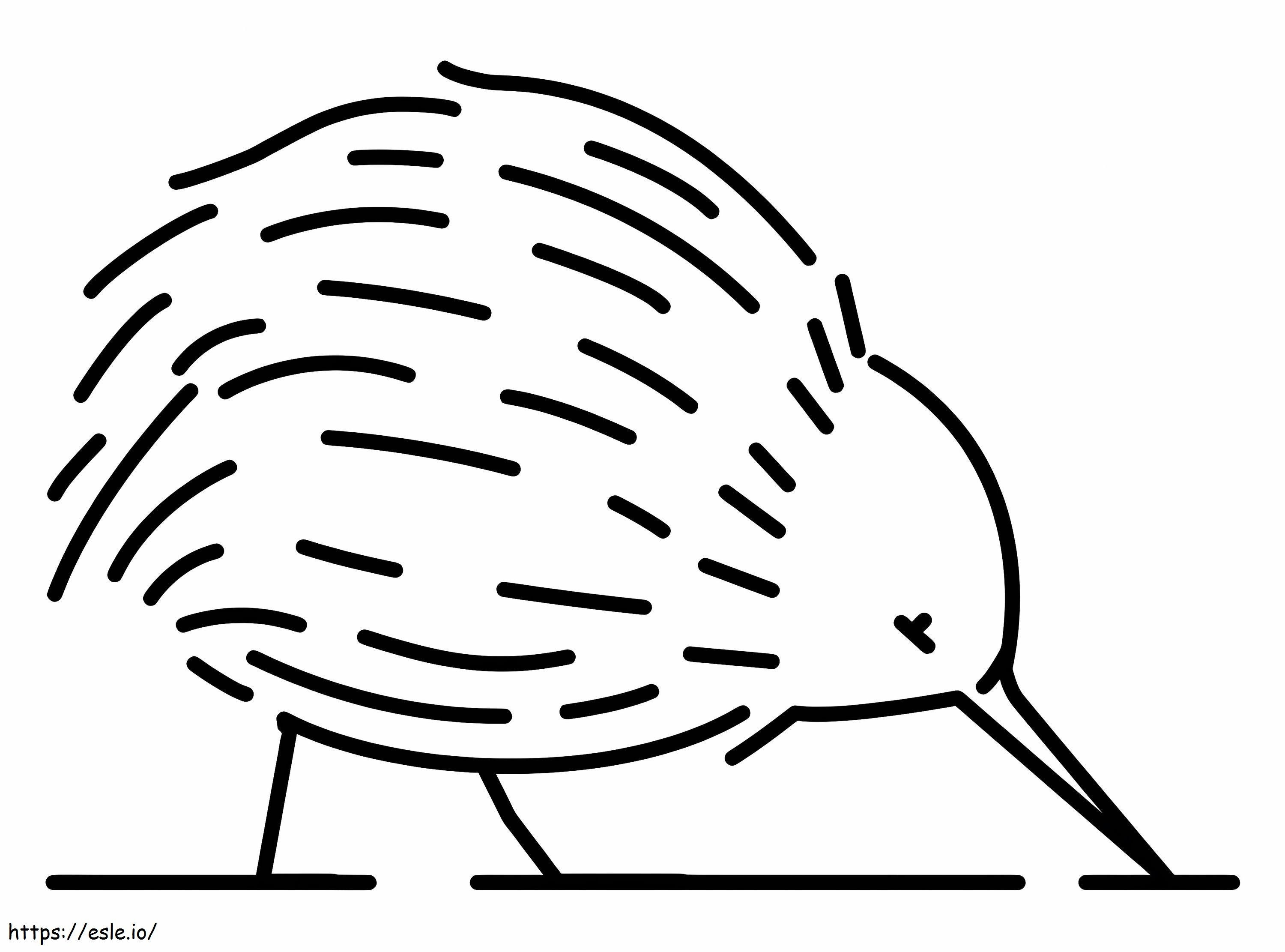 Coloriage Oiseaux Kiwi Faciles à imprimer dessin