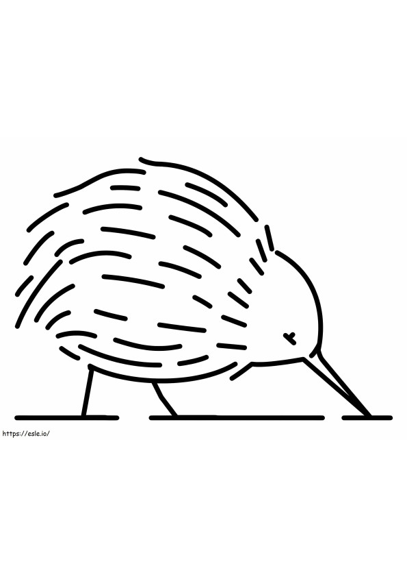 Burung Kiwi Mudah Gambar Mewarnai