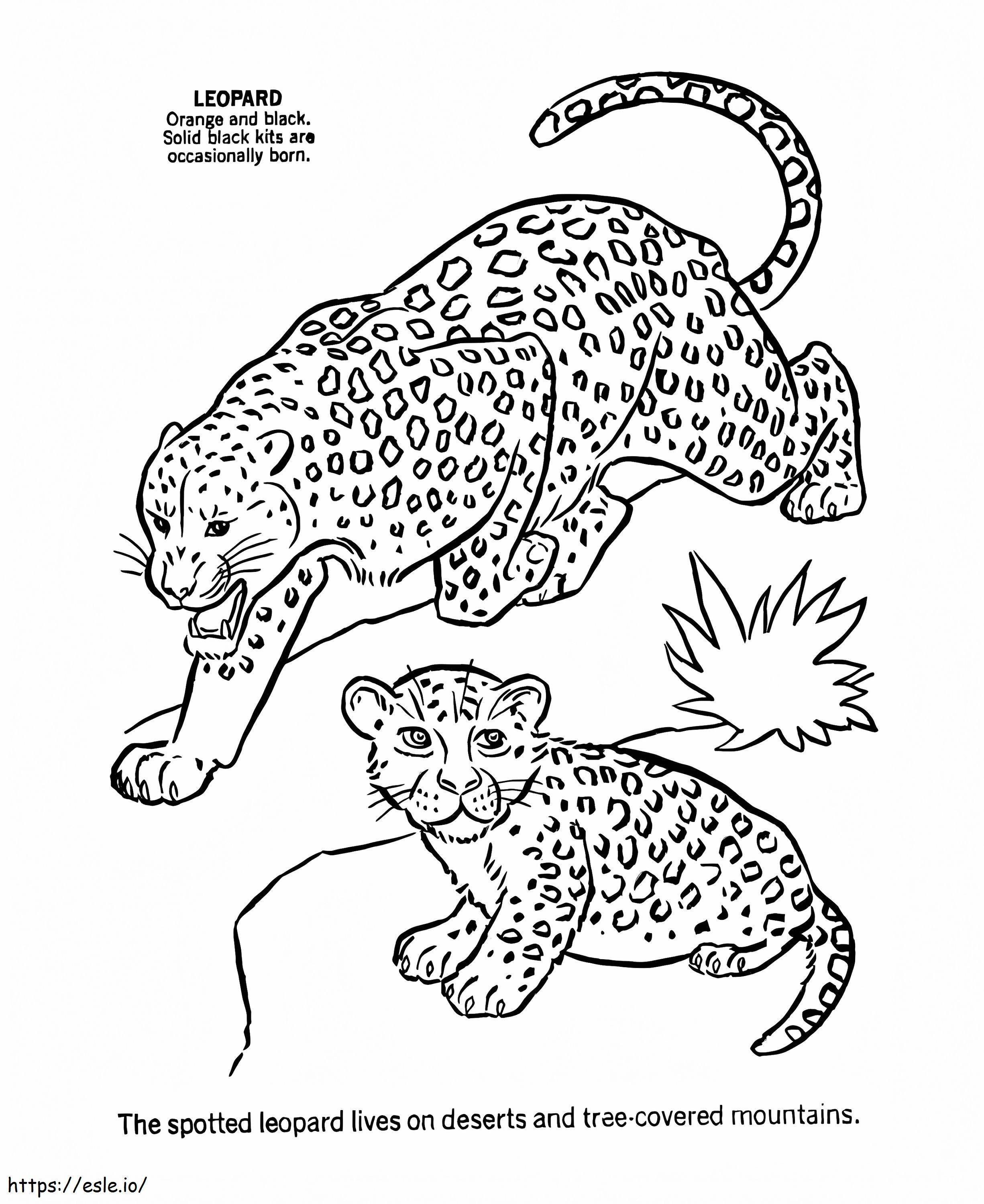 Leopard Sauvage coloring page