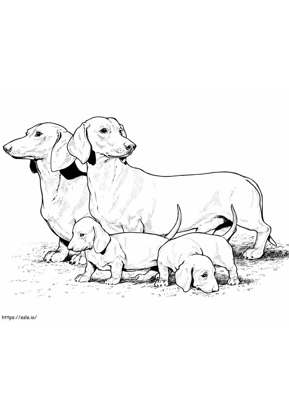 Family Dachshund coloring page