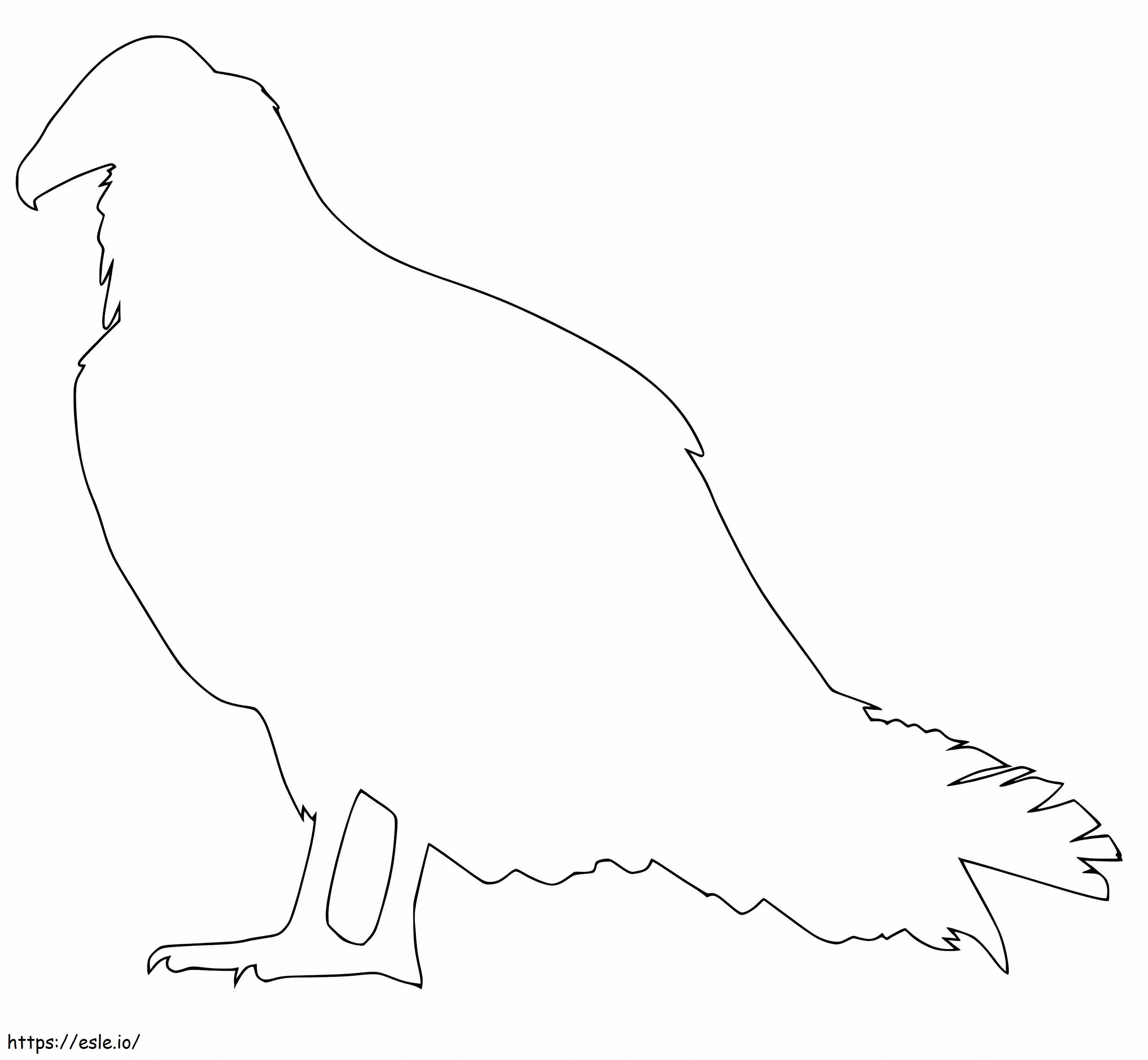 contorno do abutre para colorir