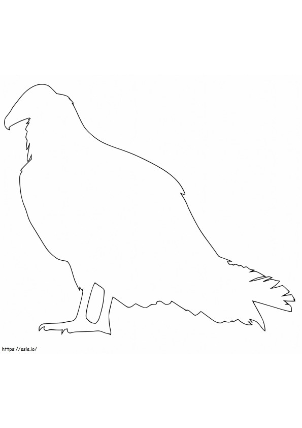 Contur vultur de colorat