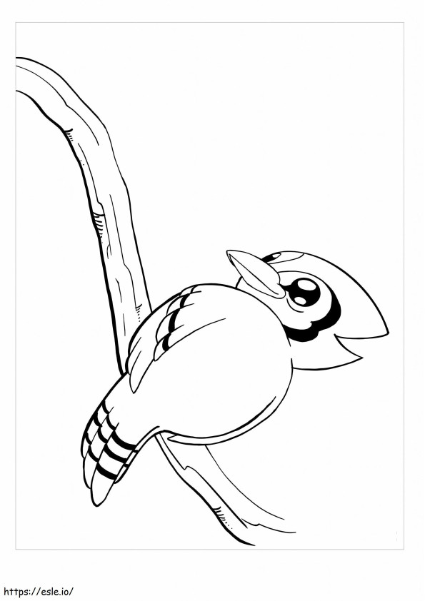Coloriage Oiseau geai coriace à imprimer dessin