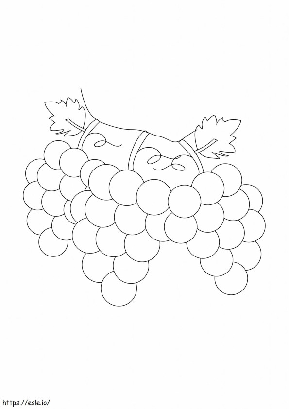 ramo de uvas para colorir