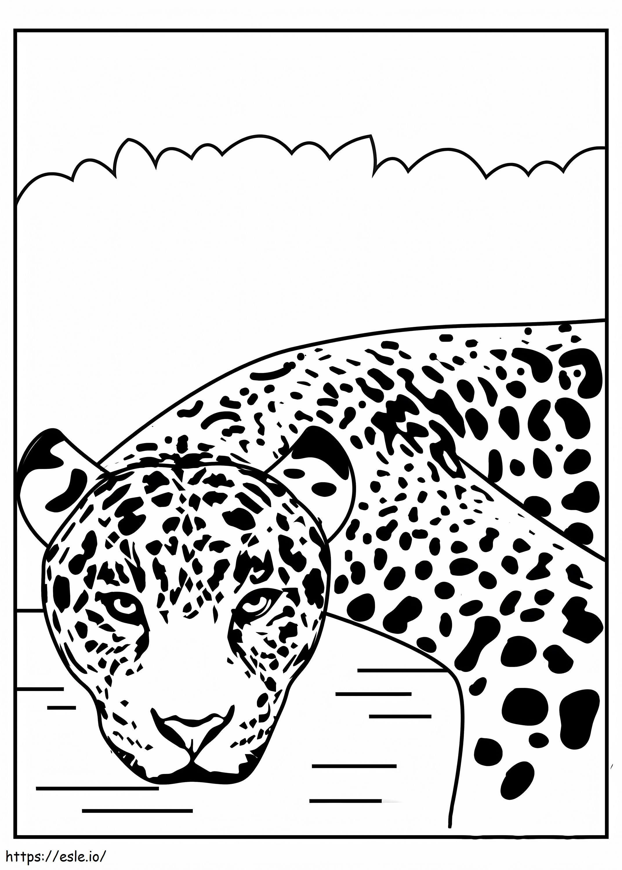 Basis Jaguar-gezicht kleurplaat kleurplaat